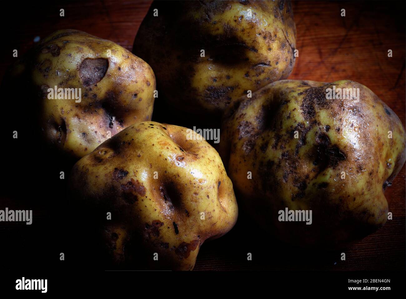 Four fresh potatoes with water drops on a wood table Stock Photo