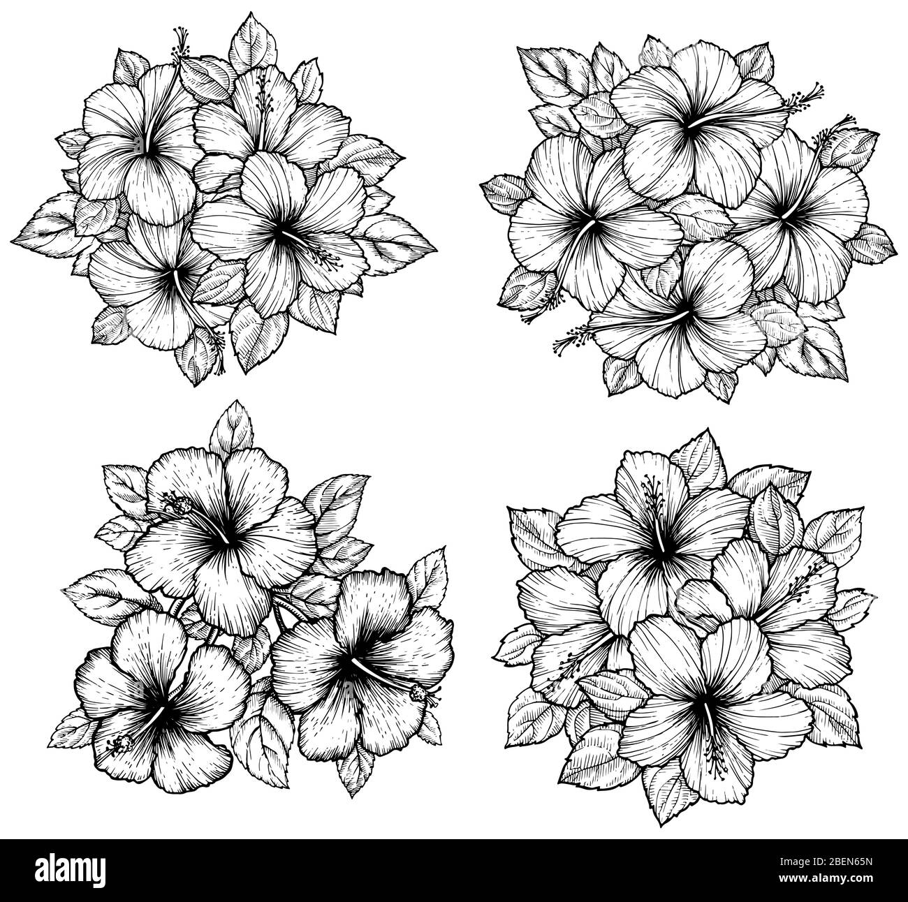 Hand drawn tropical hibiscus flower bouquet with leaves. Sketch florals ...