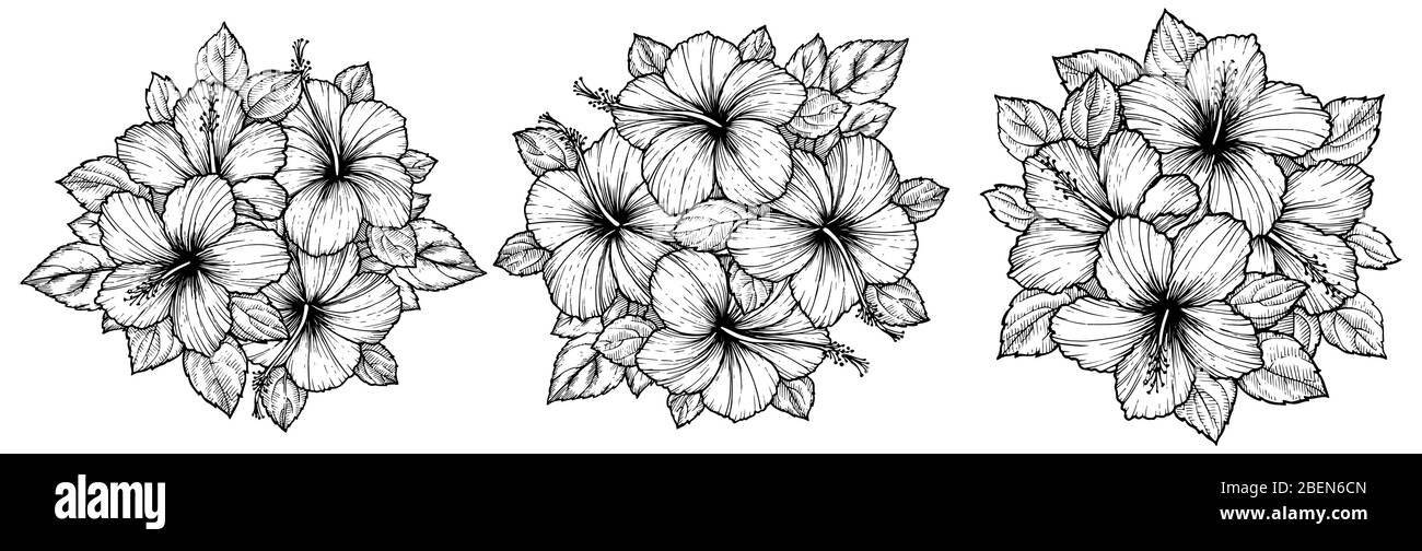 Hand Drawn Tropical Hibiscus Flower Bouquet With Leaves Sketch Florals On White Background 9334