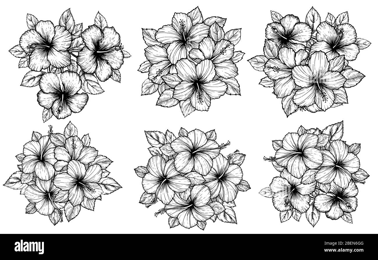 Hand drawn tropical hibiscus flower bouquet with leaves. Sketch florals ...