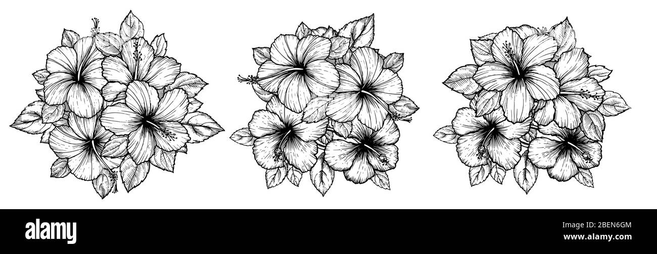 Hand drawn tropical hibiscus flower bouquet with leaves. Sketch florals ...
