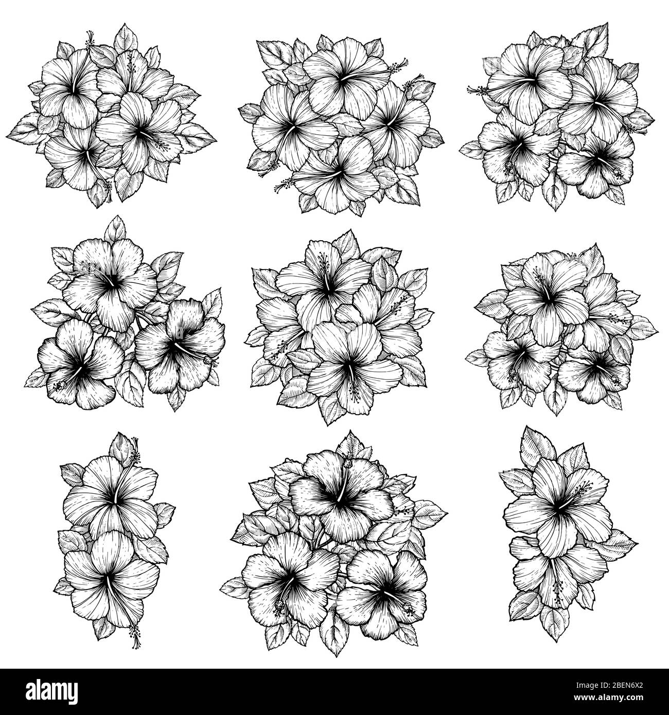 Hand drawn tropical hibiscus flower bouquet with leaves. Sketch florals ...