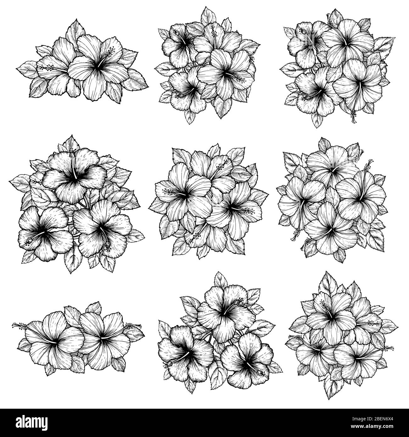 Hand drawn tropical hibiscus flower bouquet with leaves. Sketch florals ...