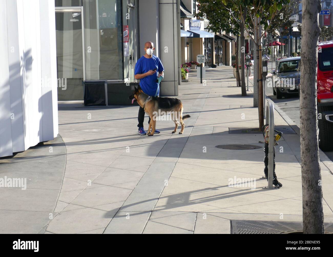 Los Angeles, California, USA 14th April 2020 A general view of atmosphere of man with face mask walking dog on street due to coronavirus covid-19 outbreak and social distancing and Stay At Home on April 14, 2020 in Los Angeles, California, USA. Photo by Barry King/Alamy Live News Stock Photo