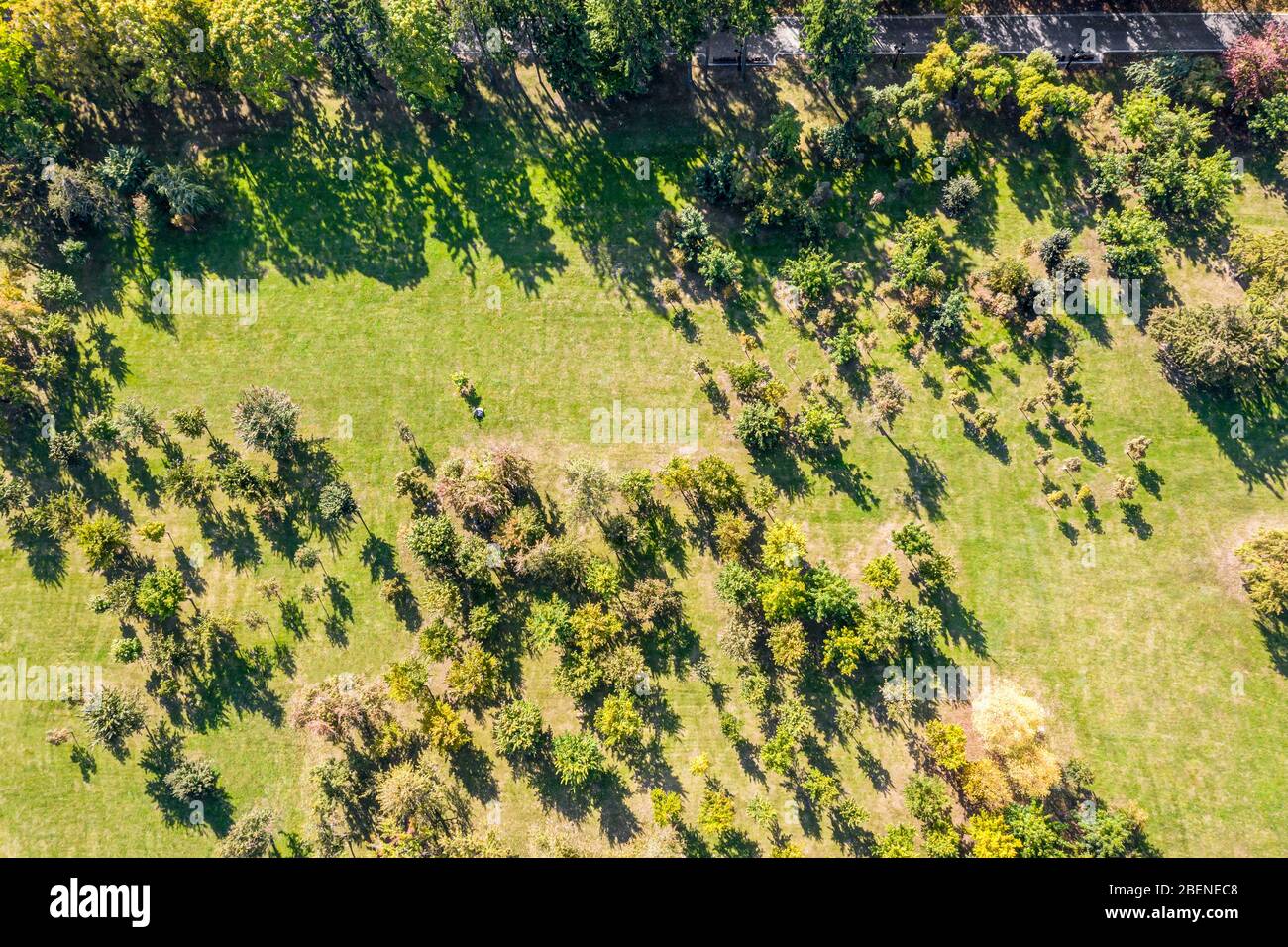 park landscape with trees and lawn in sunny day. aerial view Stock ...