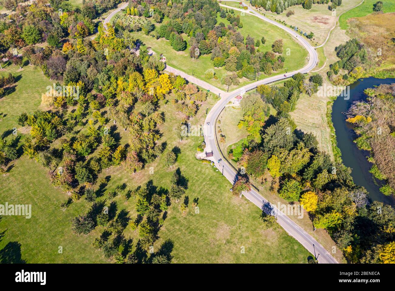 top view aerial photo of city park with green and yellow trees in early autumn Stock Photo
