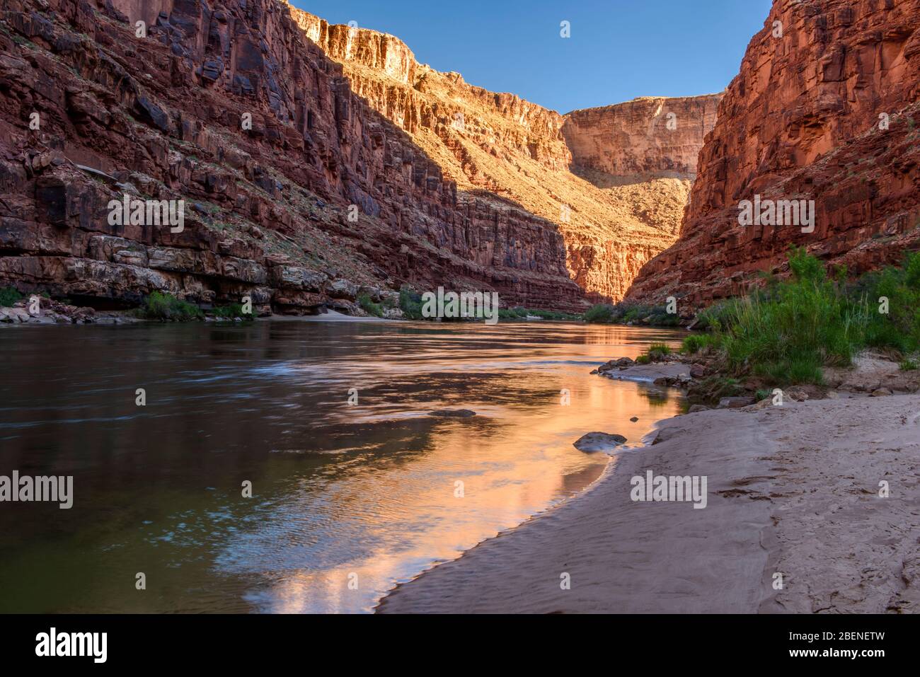 Grand Canyon cliff reflections in the Colorado River at daybreak (Georgie's Camp Mile 20), Grand Canyon National Park, Arizona, USA Stock Photo