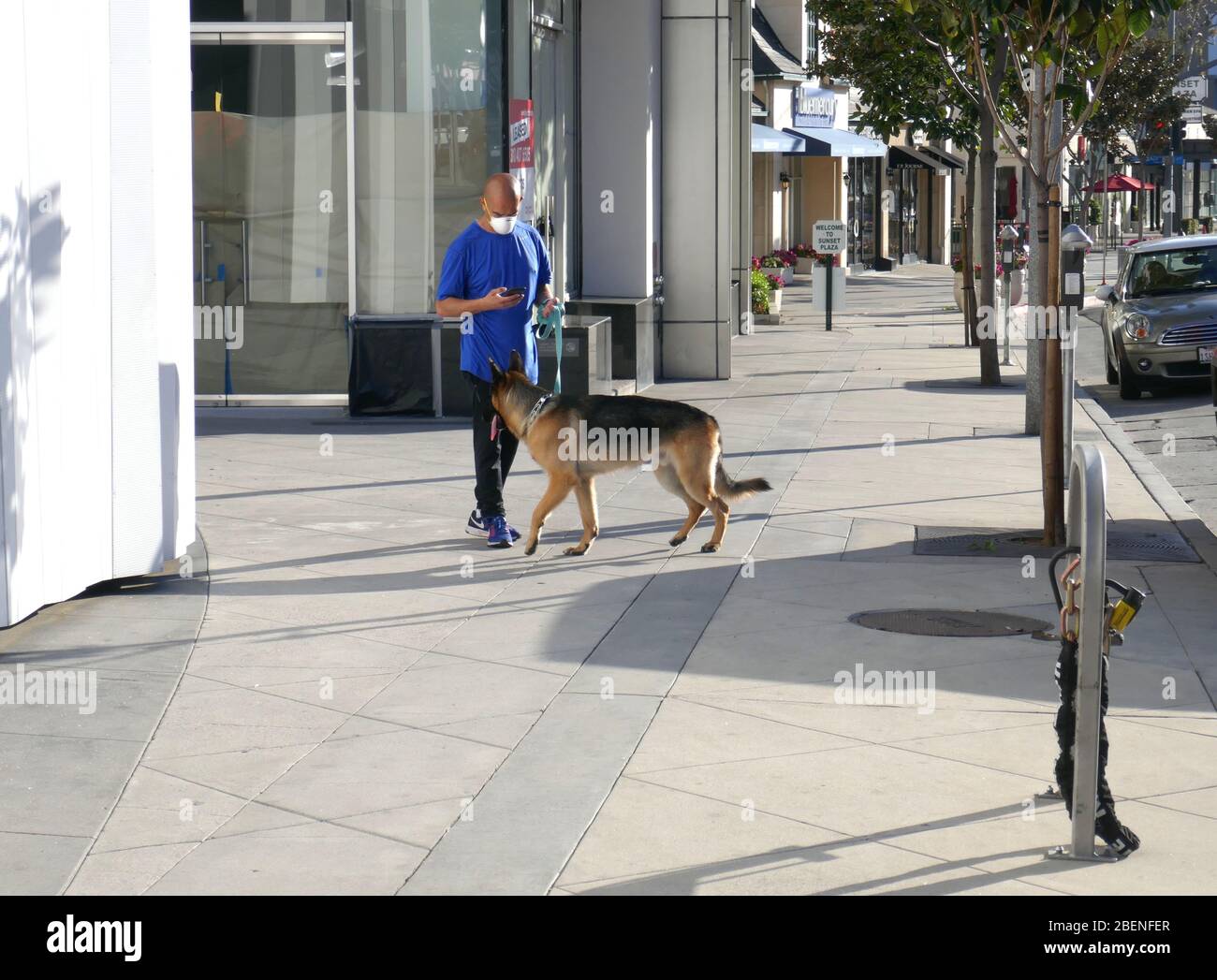 Los Angeles, California, USA 14th April 2020 A general view of atmosphere of man with face mask walking dog on street due to coronavirus covid-19 outbreak and social distancing and Stay At Home on April 14, 2020 in Los Angeles, California, USA. Photo by Barry King/Alamy Stock Photo Stock Photo