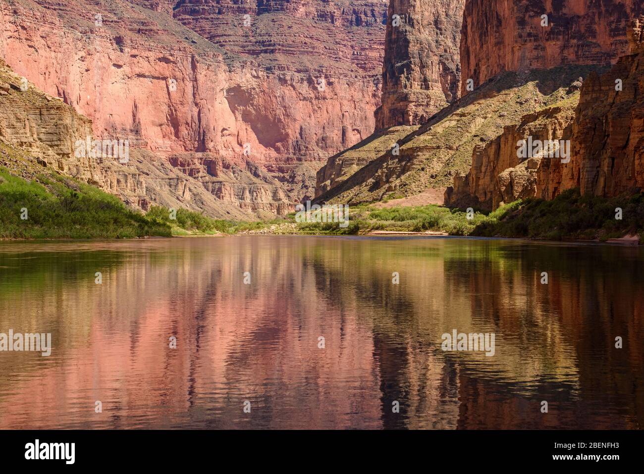 Grand Canyon cliff reflections in the Colorado River, Grand Canyon National Park, Arizona, USA Stock Photo