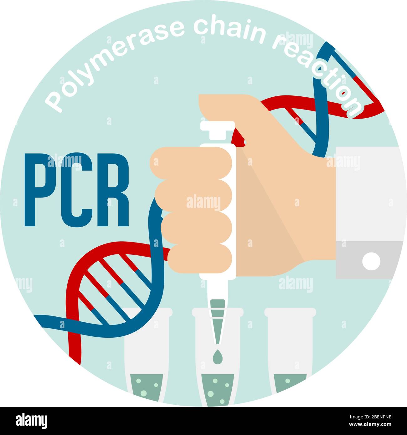PCR (Polymerase chain reaction) test circle banner illustration / Novel coronavirus Stock Vector