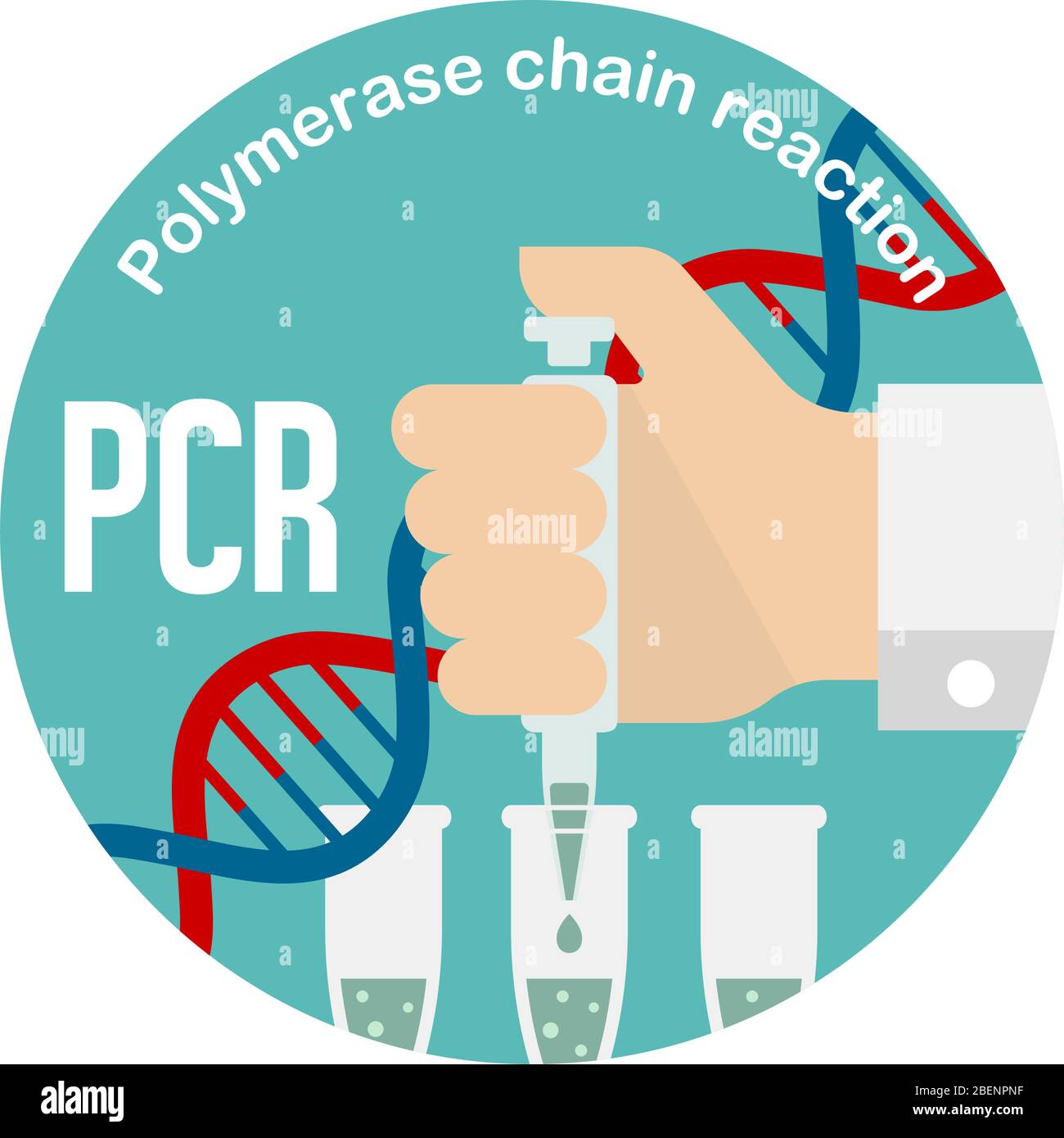 PCR (Polymerase chain reaction) test circle banner illustration / Novel coronavirus Stock Vector