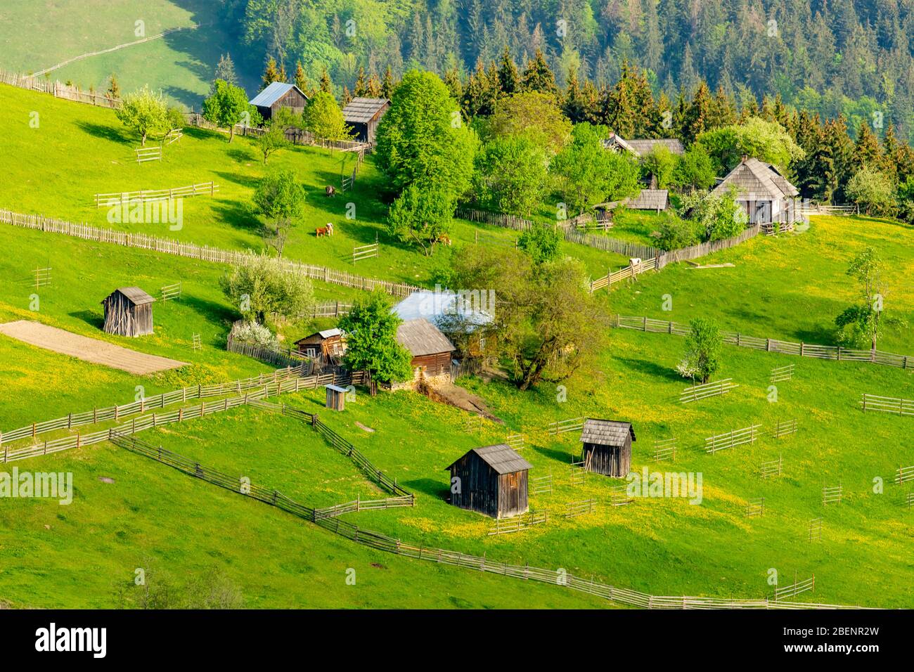 Aerial view of green fields with houses and trees. High angle view of ...