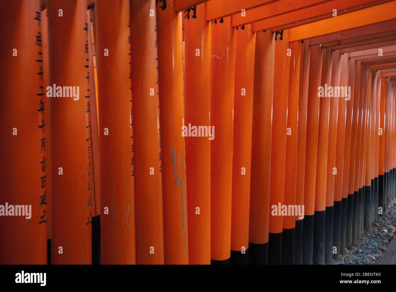 Fushimi Inari Taisha Shrine, 68 Fukakusa Yabunouchicho, Fushimi Ward, Kyoto, 6120882, Japan