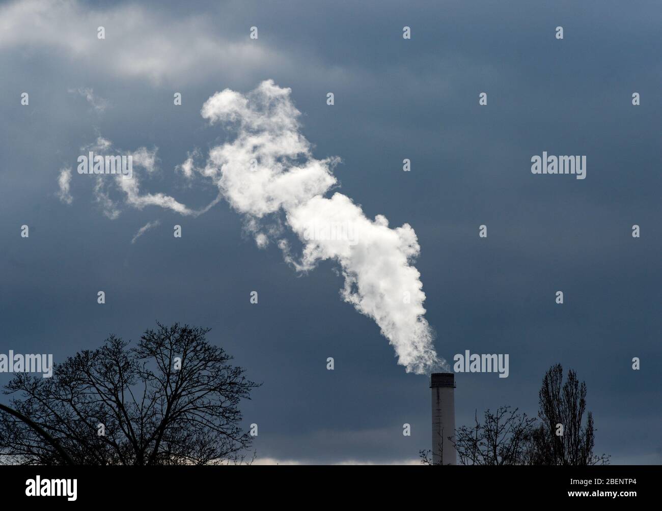 Berlin, Germany. 31st Mar, 2020. Smoke rises into the sky from a