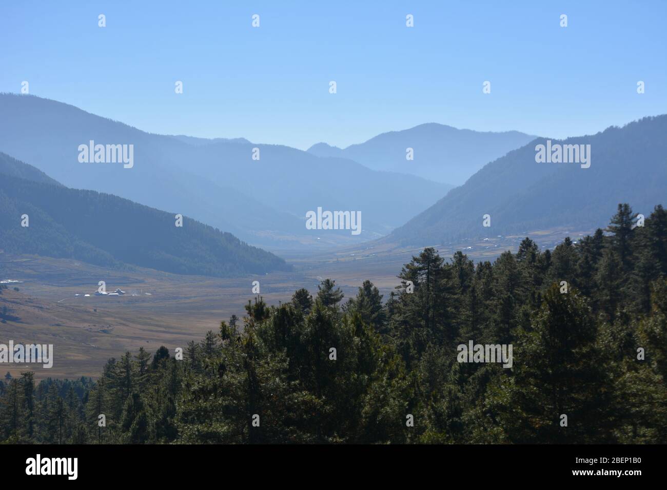 The Phobjikha Valley in the Wangdue Phodrang district of central Bhutan is a U-shaped valley formed by glaciation. Stock Photo