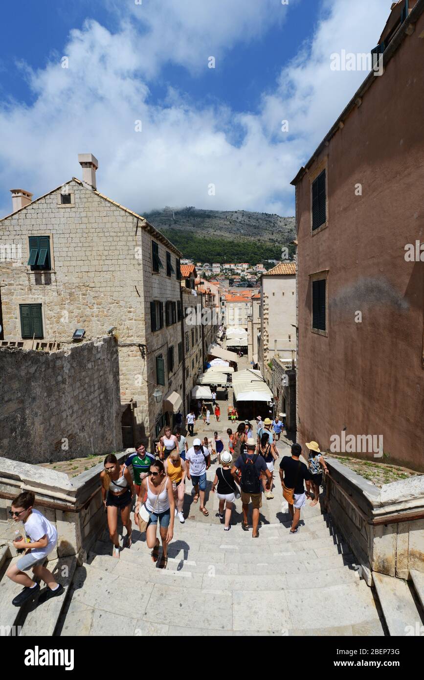 Tourist walking in the colorful old town of Dubrovnik, Croatia. Stock Photo