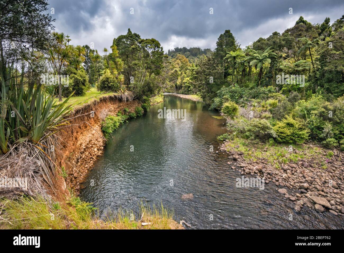 Waipoua River, Waipoua Forest, Kauri Coast, Northland Region, North Island, New Zealand Stock Photo