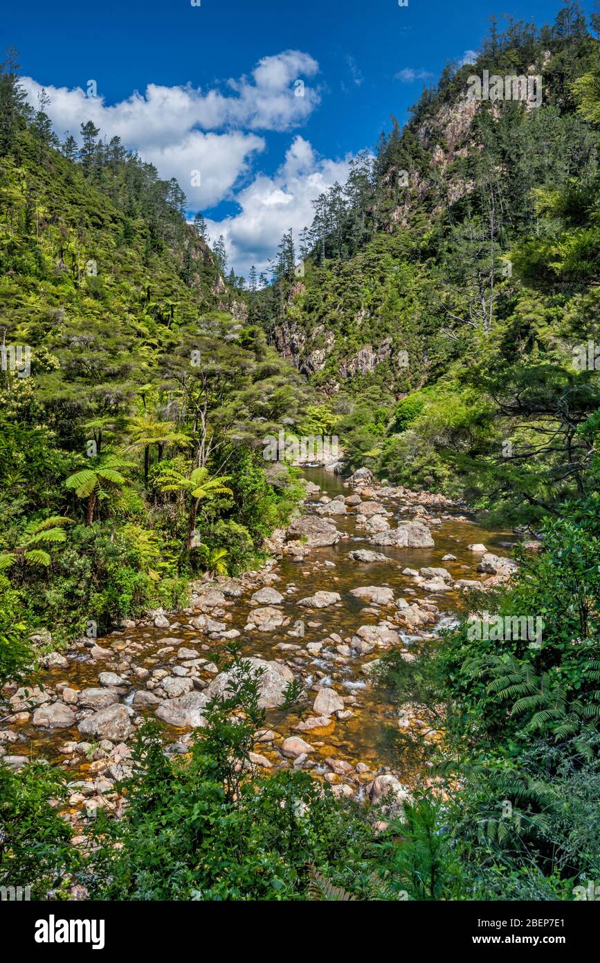 Ohinemuri River in Karangahake Gorge, Waikato Region, North Island, New Zealand Stock Photo