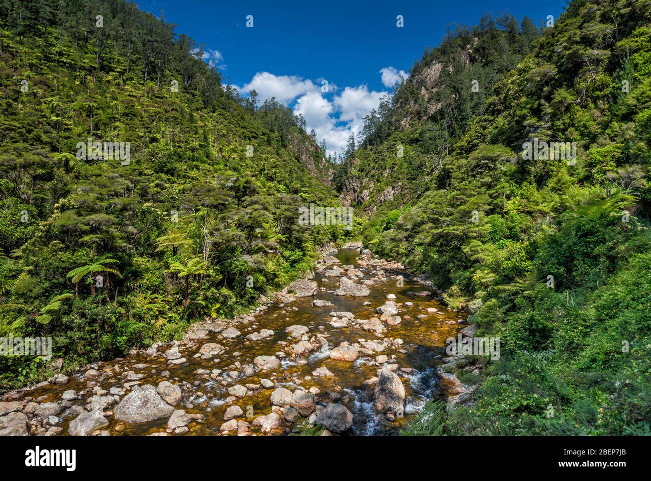 Ohinemuri River in Karangahake Gorge, Crown Tramway Track, Waikato Region, North Island, New Zealand Stock Photo