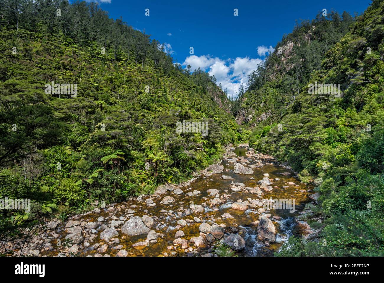 Ohinemuri River in Karangahake Gorge, Waikato Region, North Island, New Zealand Stock Photo