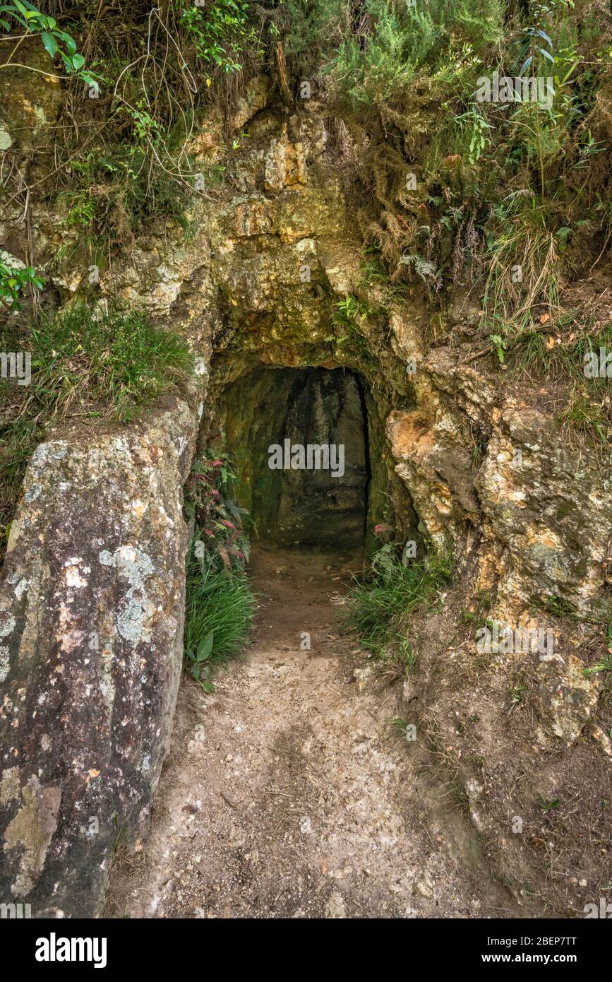 Adit entrance to underground gold mine tunnel in Karangahake