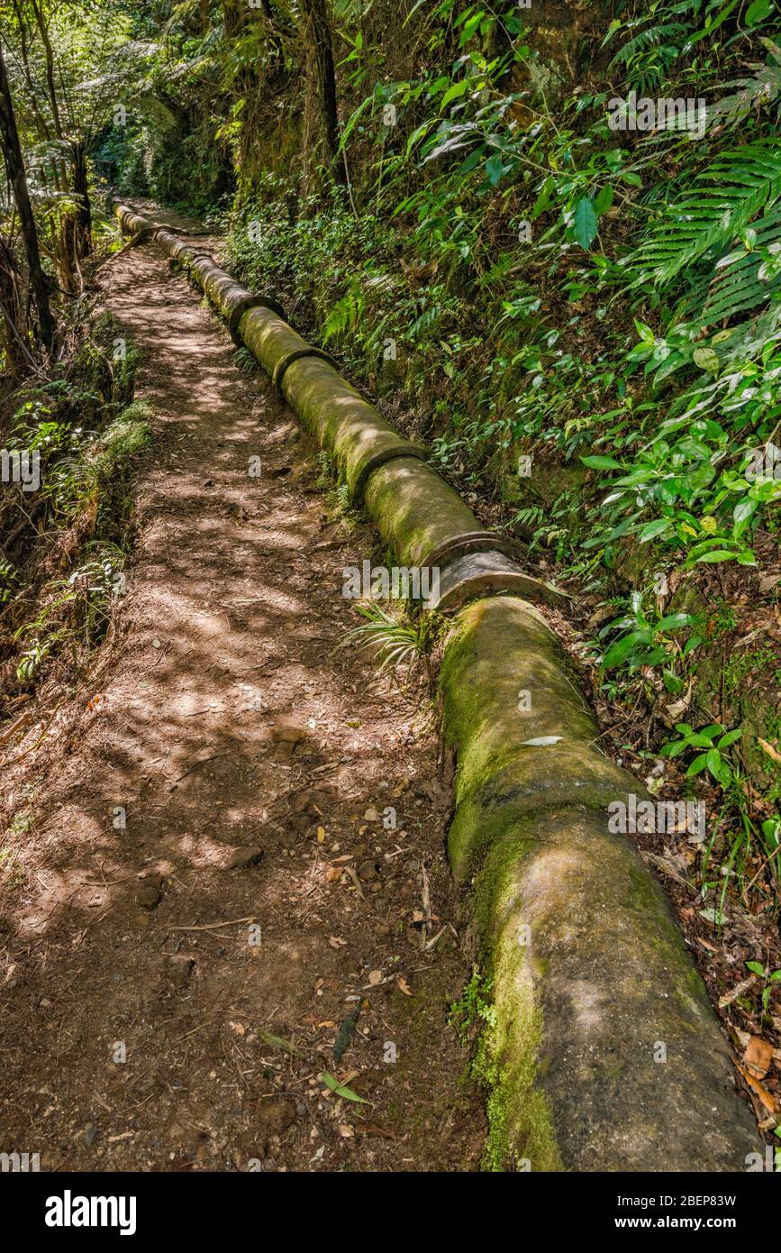 Old pipeline used to transport gold mine tailings at Historic Walkway in Karangahake Gorge, Waikato Region, North Island, New Zealand Stock Photo