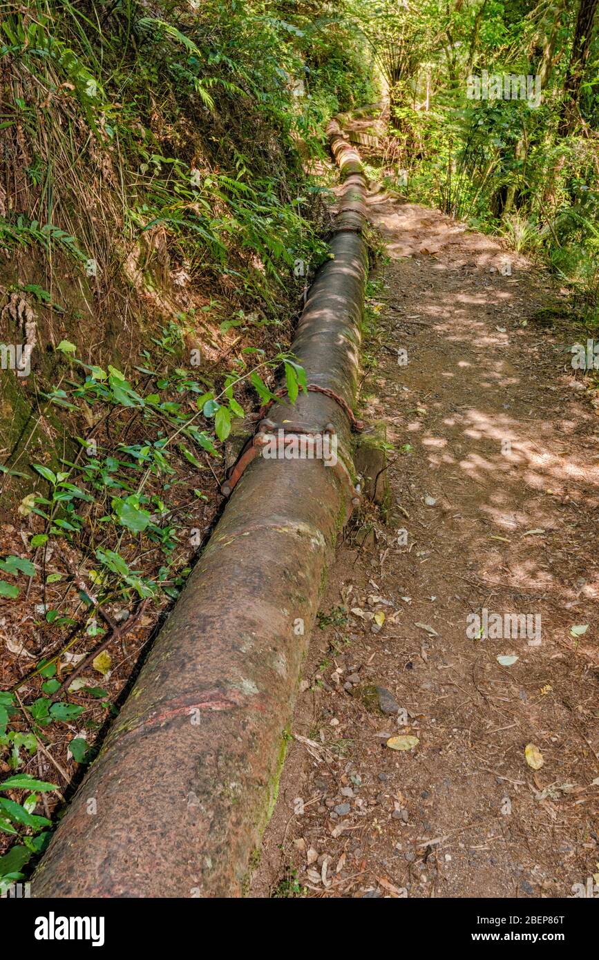 Old pipeline used to transport gold mine tailings at Historic Walkway in Karangahake Gorge, Waikato Region, North Island, New Zealand Stock Photo