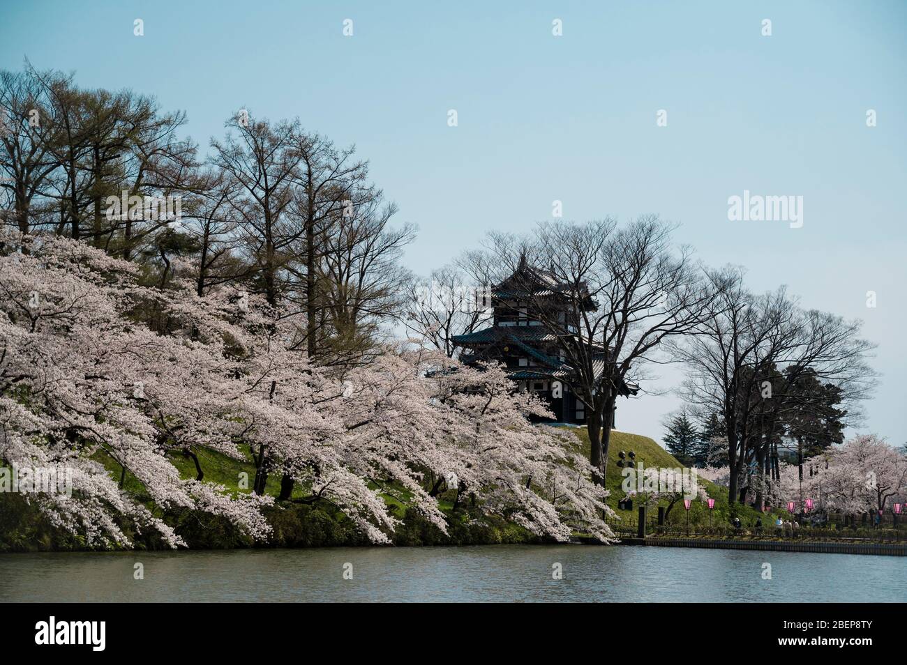 Lake surrounded by white cherry blossoms Stock Photo - Alamy