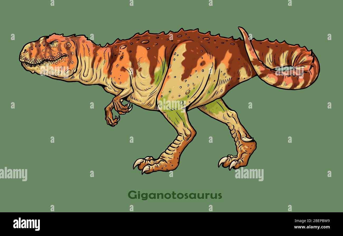Carnivorous dinosaur - giganotosaurus. Dino isolated drawing. Stock Photo