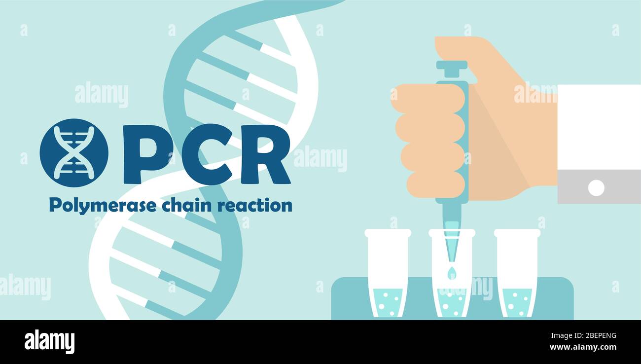 PCR (Polymerase chain reaction) test banner illustration / Novel coronavirus Stock Vector