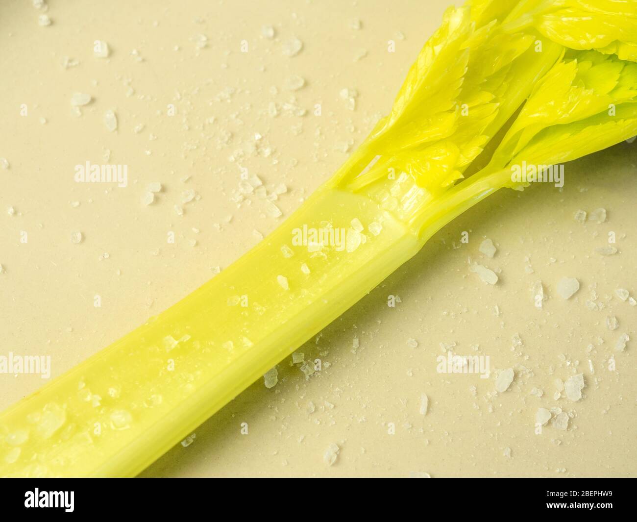 A single stick of celery on a plate with freshly milled sea salt Stock Photo