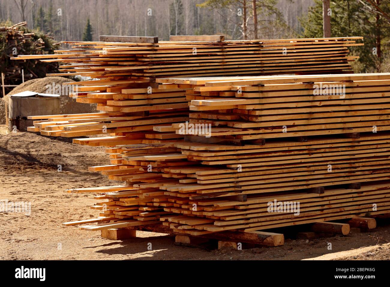 Piles of timber in the sunny springlike light Stock Photo