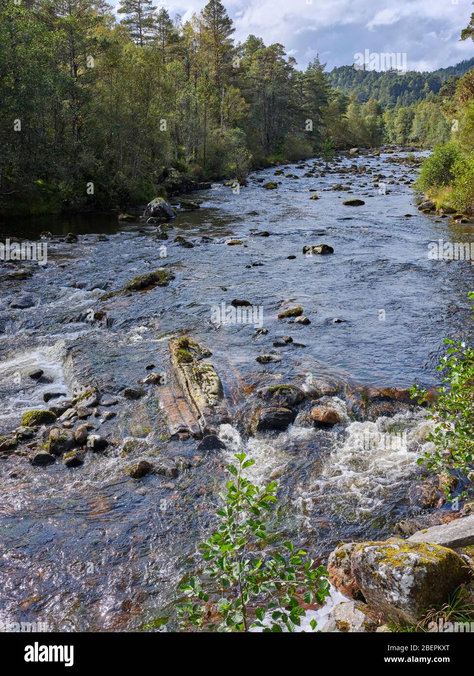 Glen Affric, Beauly, Inverness-Shire, Scotland, UK. 24/09/19. Upstream from the Bridge at Dog Falls in Glen Affric part of the Caledonian Forest Stock Photo