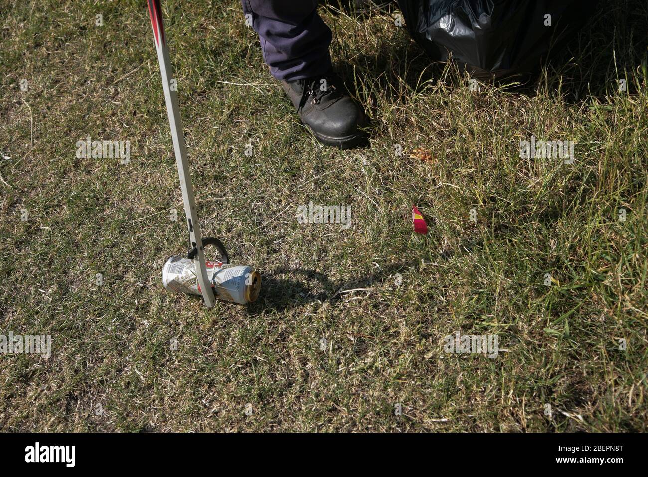 Discarded empty drink cans being collected by a litter picker. Stock Photo