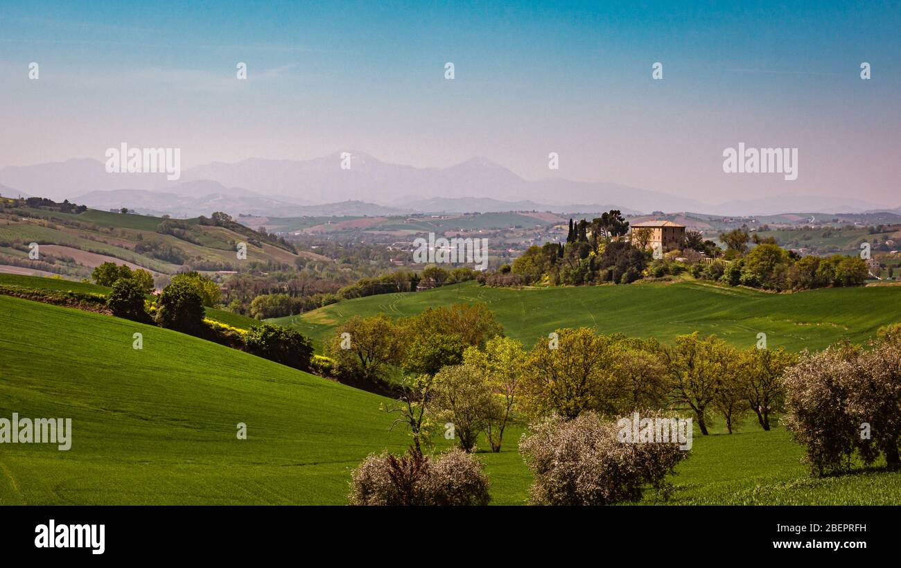 Panorama of the rolling green countryside hills of Passo Ripe, near Senigallia, Le Marche, Italy with the mountains in the distance Stock Photo