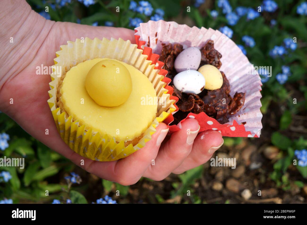 Lemon Simnel & Chocolate Easter Cupcakes Stock Photo