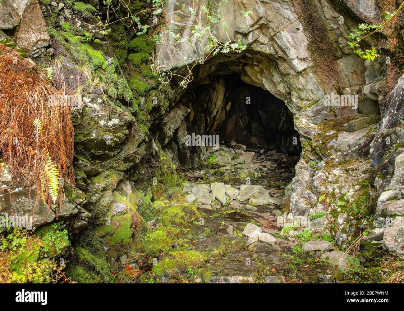 Cave in old quarry above Grange Stock Photo
