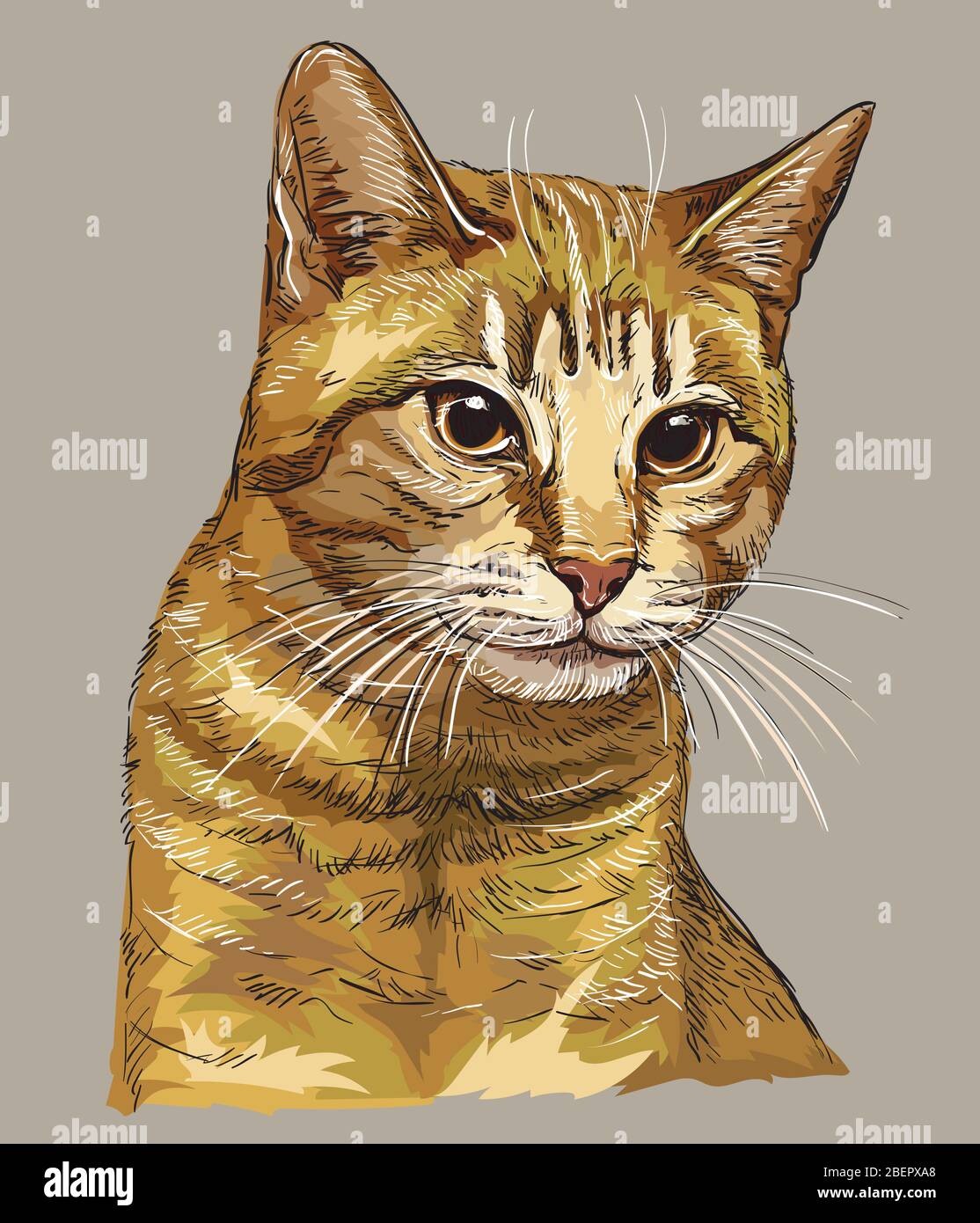 Outline Drawing Cat Kitten On High Resolution Stock Photography And Images Alamy Year ago, i drew this, it's supposed to be a somewhat realistic version of my cat, luna. https www alamy com colorful vector hand drawing portrait of cat isolated on beige background realistic retro portrait of cat vector vintage illustration of cat image image353316160 html