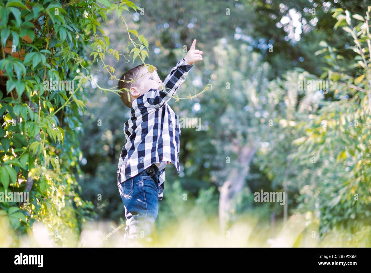Small boy in checkered shirt in summer park Stock Photo