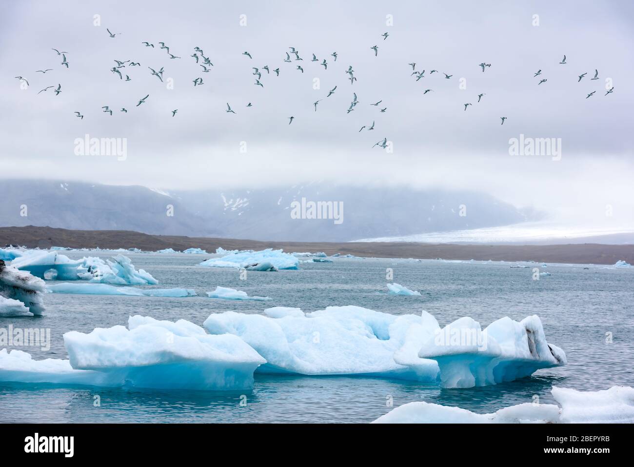 Gorgeous evening landscape with floating icebergs and birds in Jokulsarlon glacier lagoon, Iceland Stock Photo