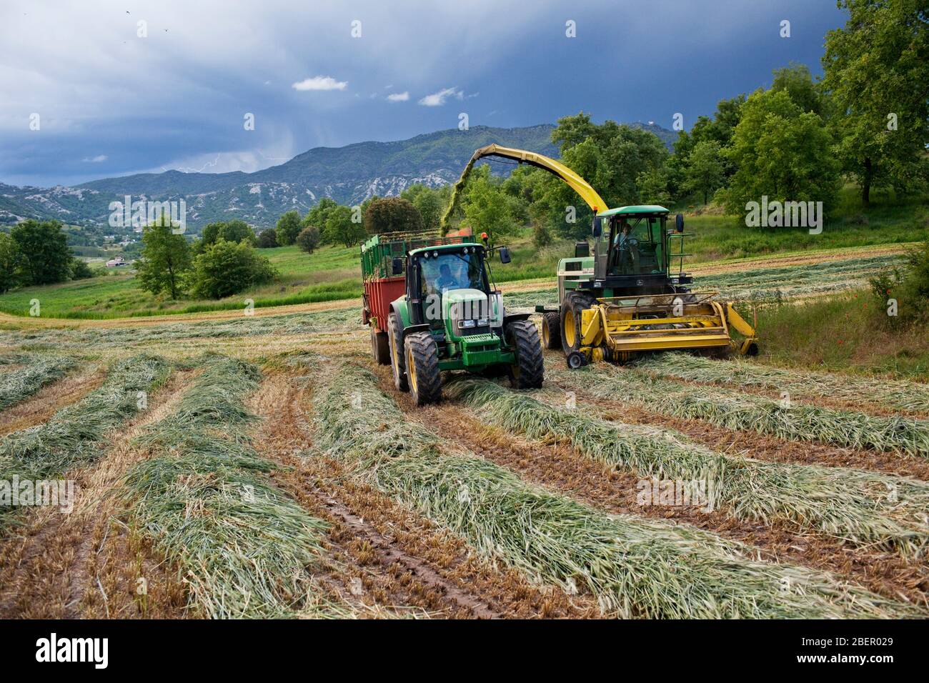 Agricultura de cereales hi-res stock photography and images - Alamy