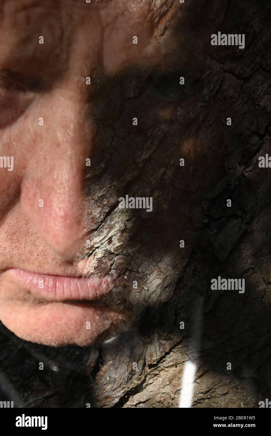 Double exposure of a male face combined with the bark of an oak tree Stock Photo