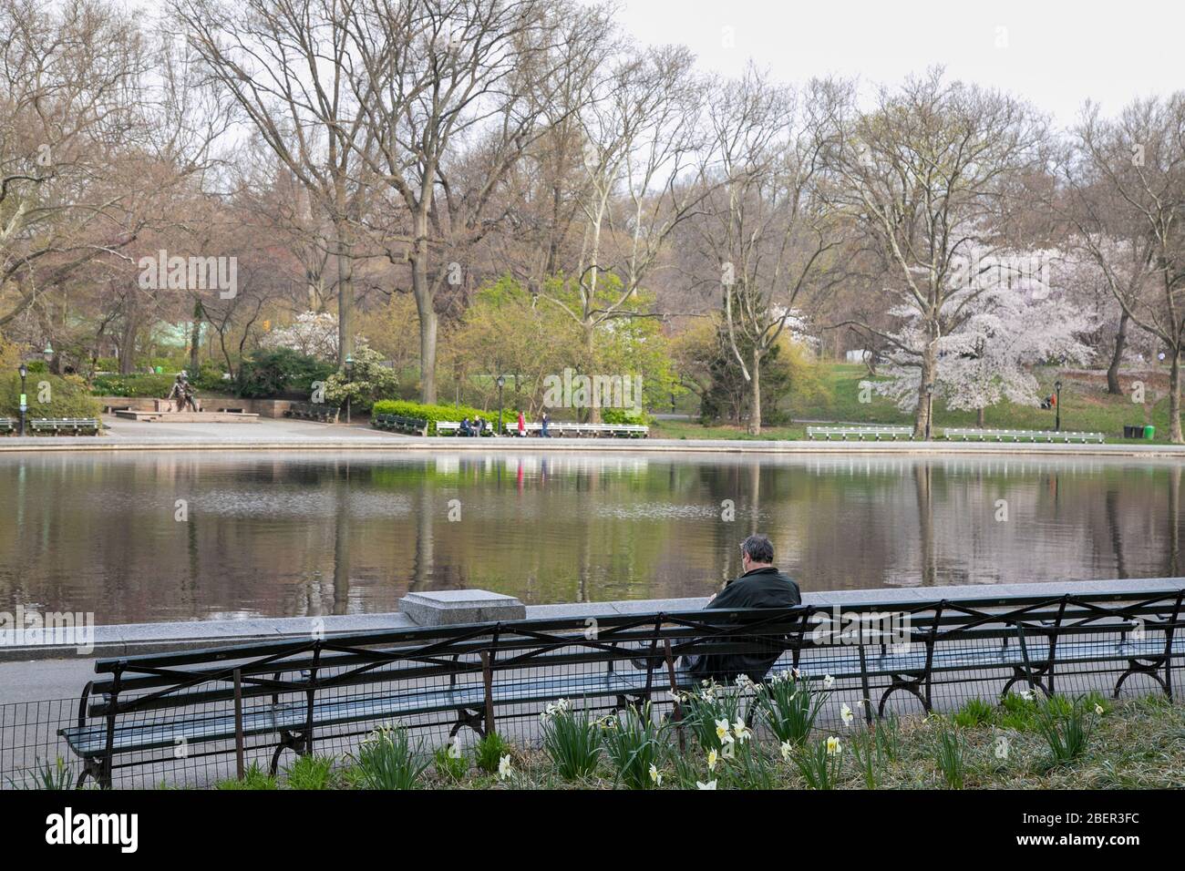 A man sitting on a bench in Central Park, New York City Stock Photo - Alamy