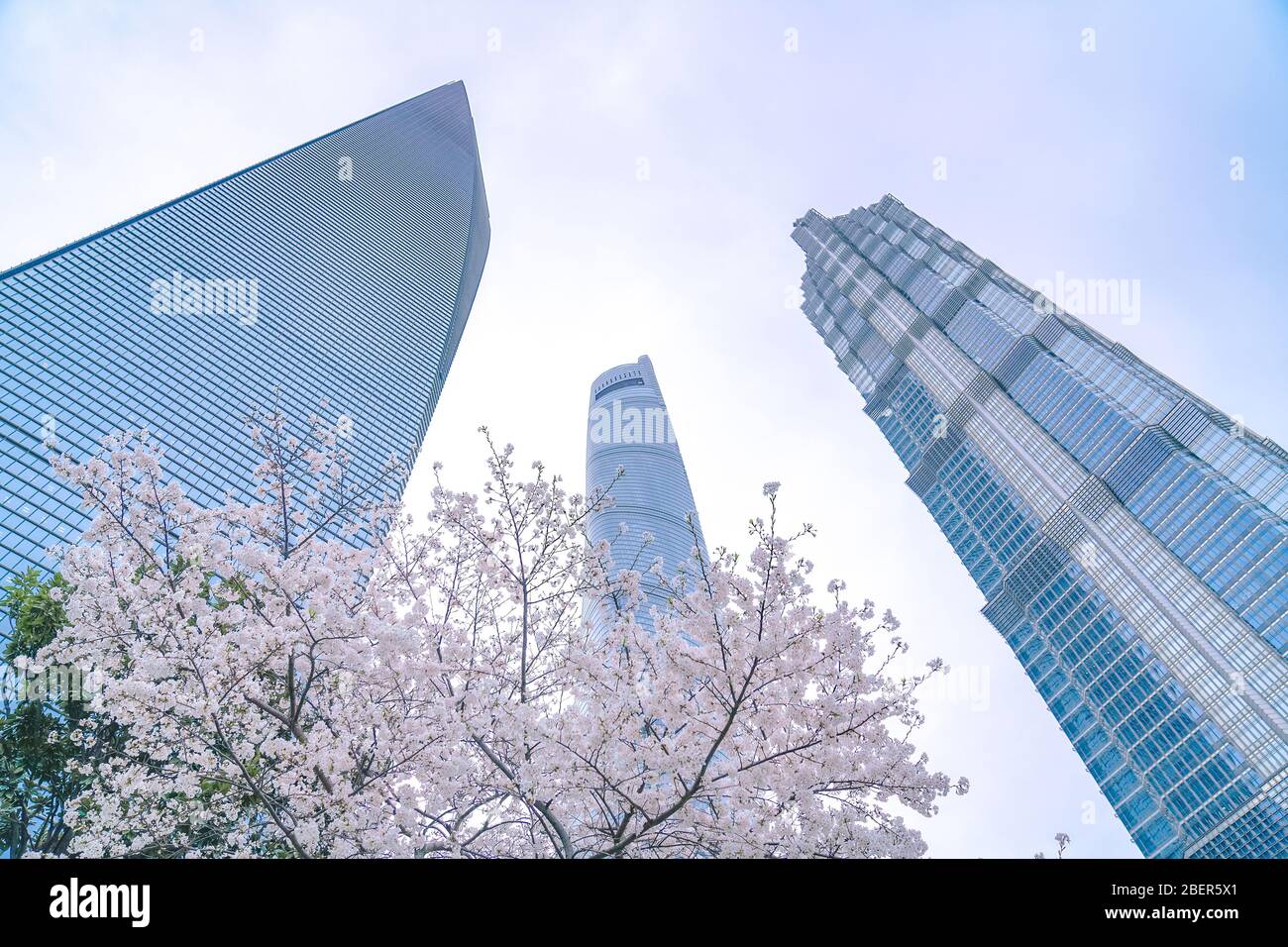 Lujiazui financial center hi-res stock photography and images - Alamy