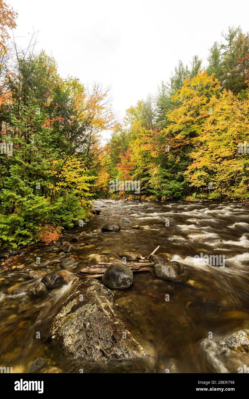 Hoffman Notch Brook in autumn, near North Hudson, Essex County, NY Stock Photo