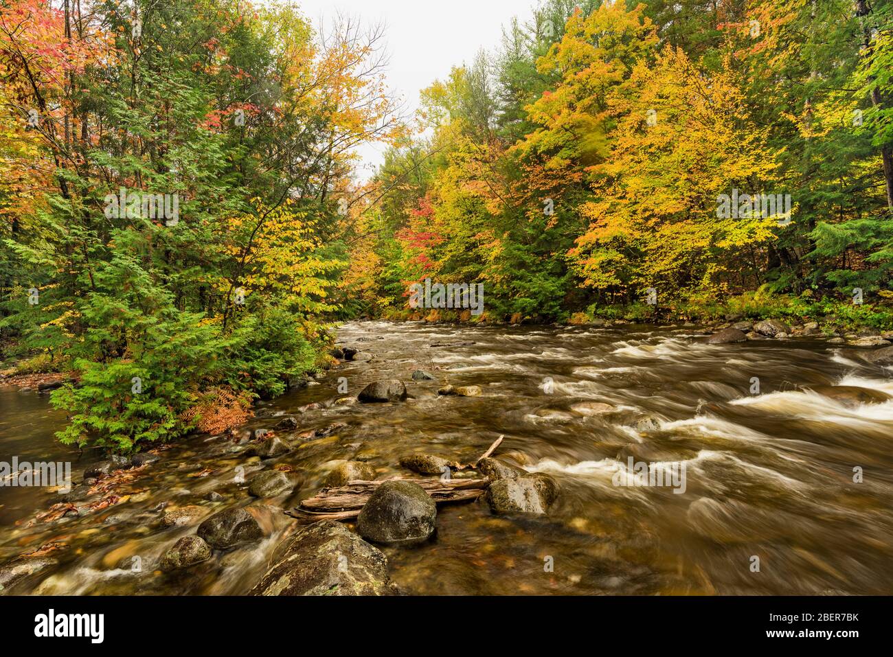 Hoffman Notch Brook in autumn, near North Hudson, Essex County, NY Stock Photo