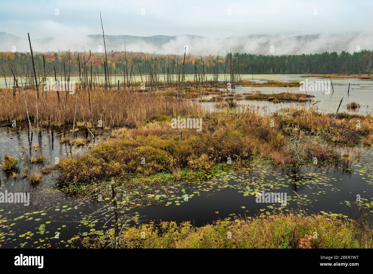 Autumn on Shaw Pond, Long Lake, Hamilton County, NY Stock Photo