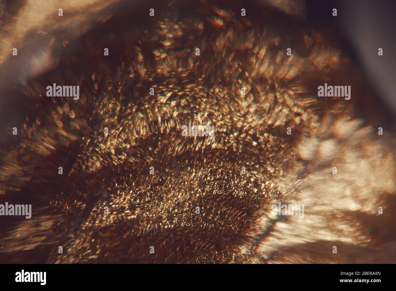 Abstract glow golden background hi-res stock photography and images - Alamy