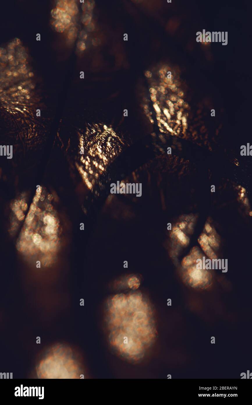 Circles draws hi-res stock photography and images - Alamy