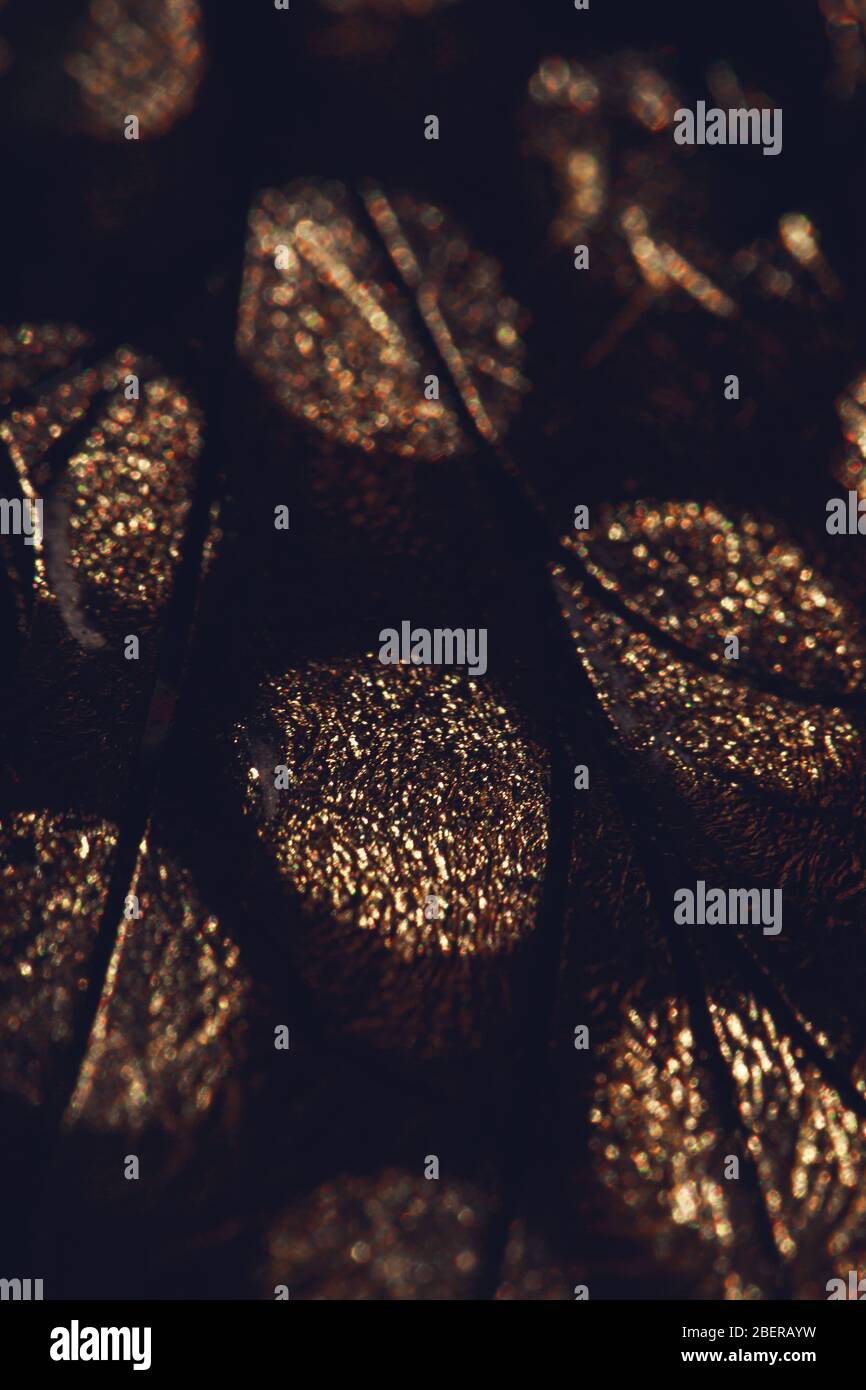 Light gold color hi-res stock photography and images - Alamy